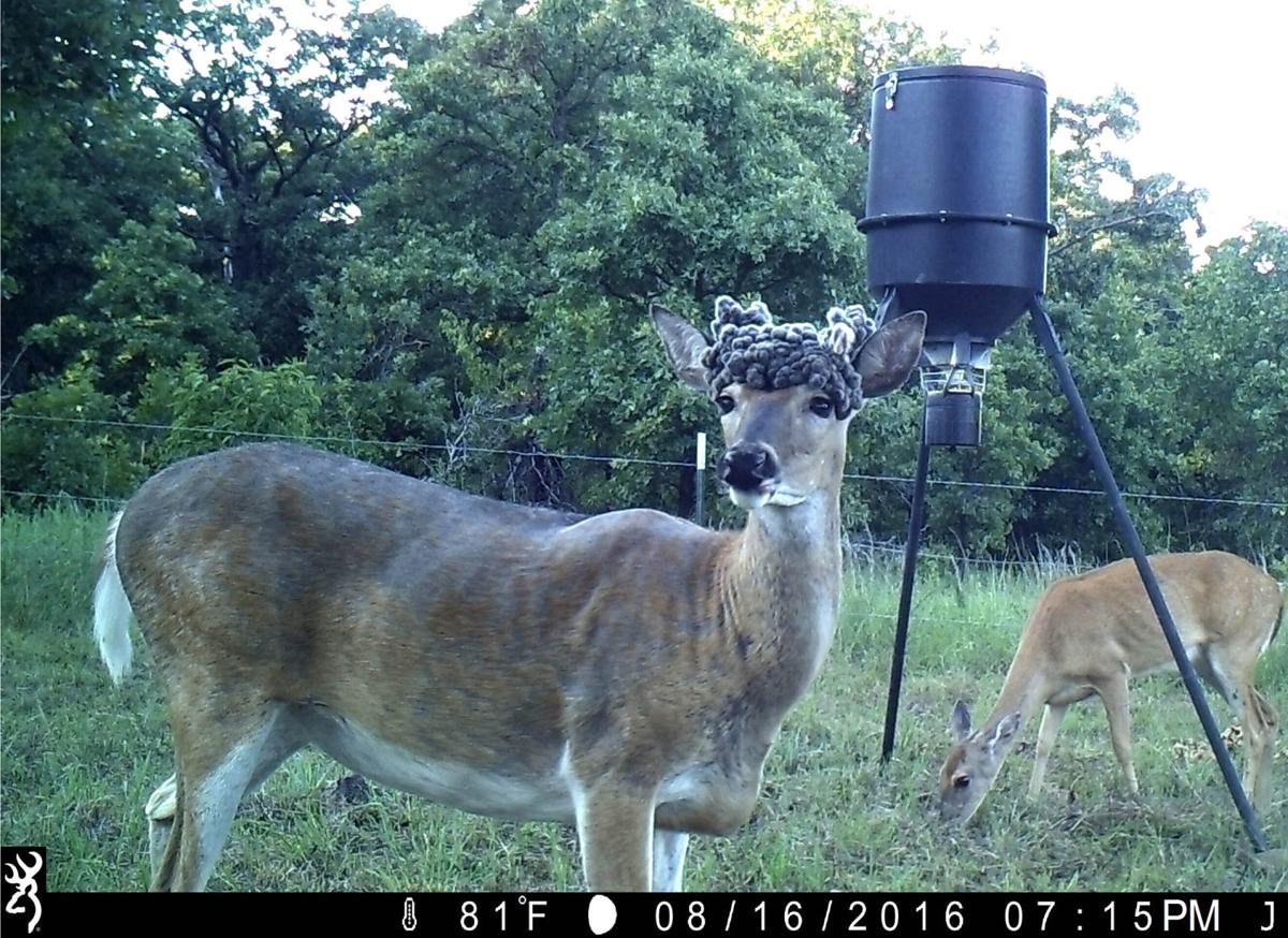 Girl, 16, takes rare 'cactus doe' first day of Oklahoma's youth season