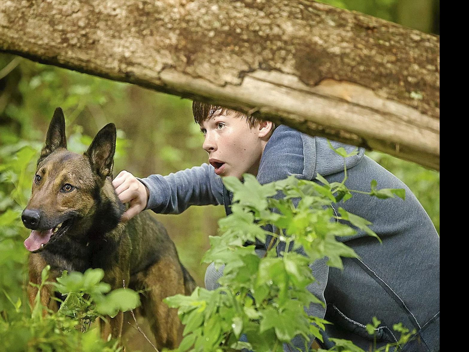 Movie Review Max A Tear Jerker Tale Of Military Dog And The Boy He Bonds With Movies Tulsaworld Com