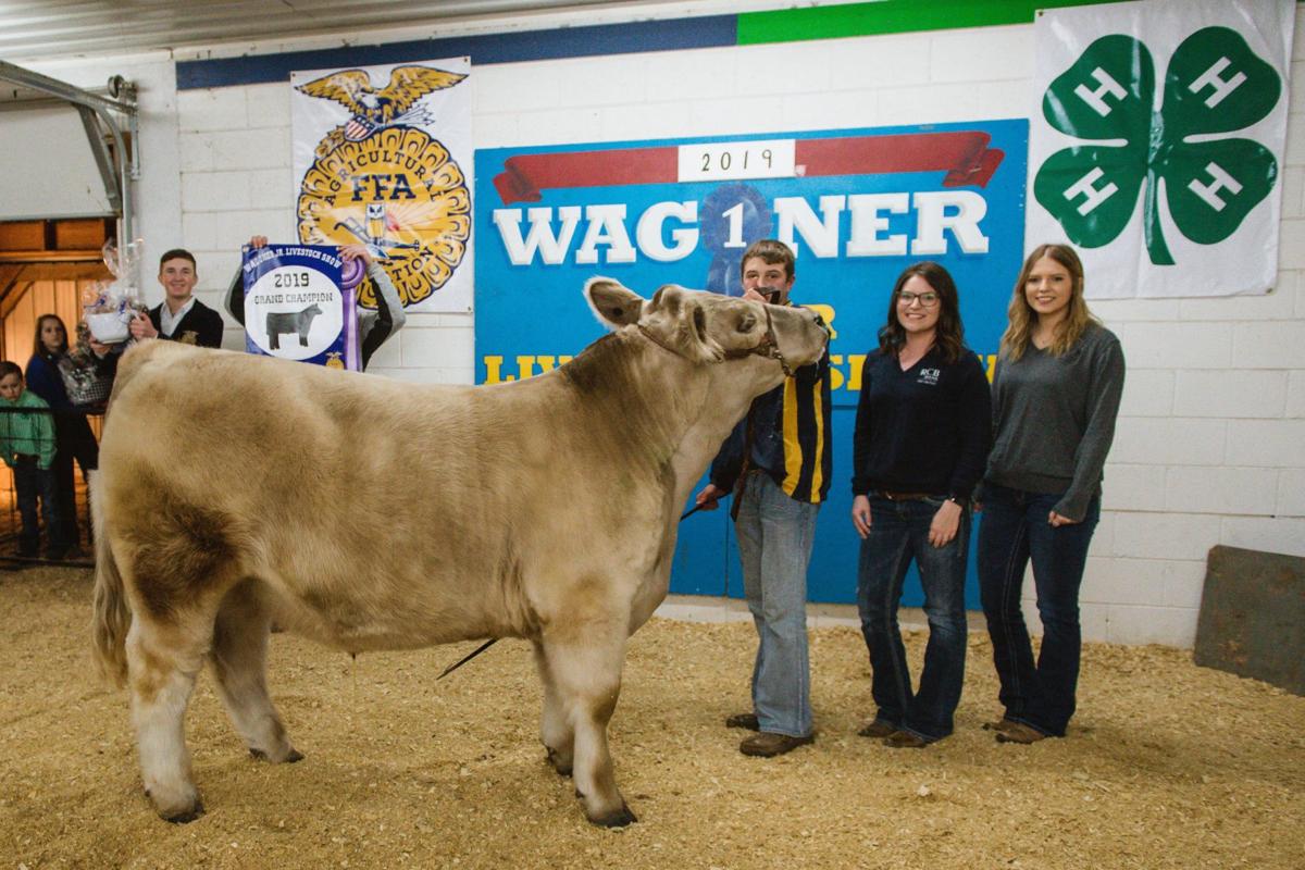 Wagoner Junior Livestock Show Raises Nearly 85k News Tulsaworld Com