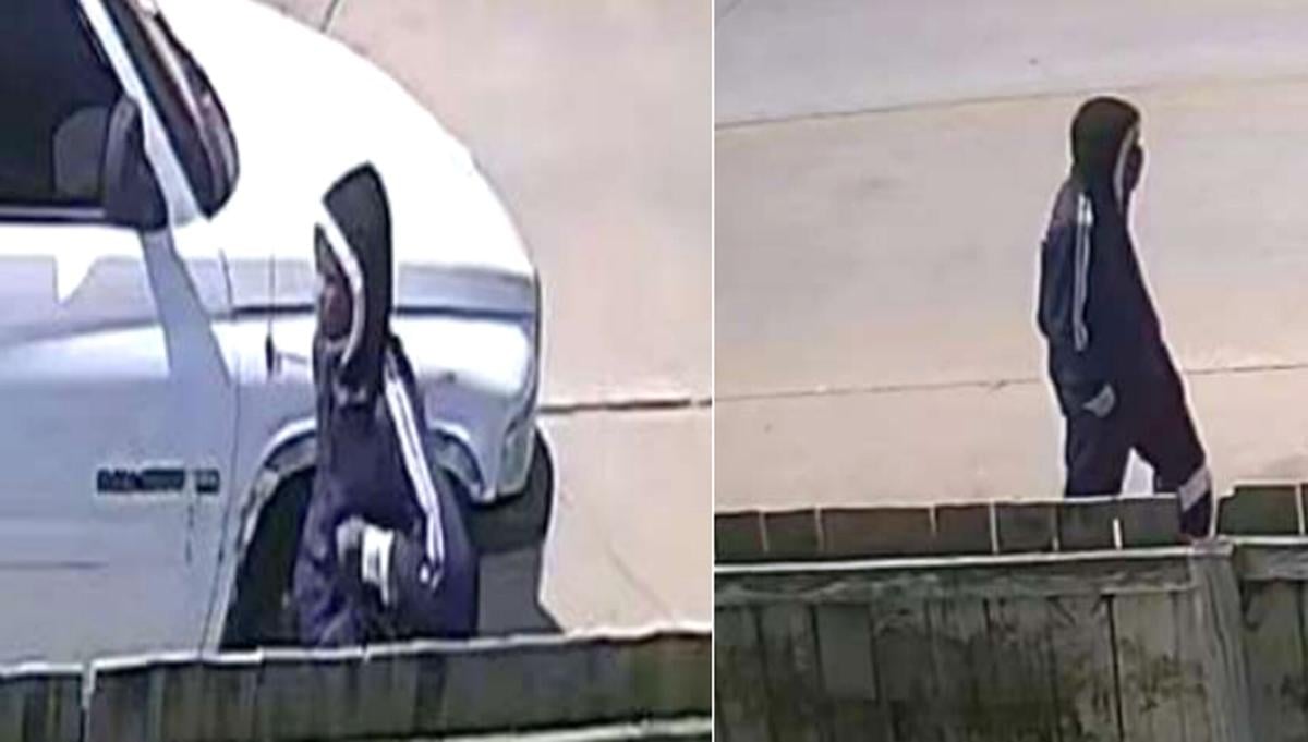 Suspect sought in armed robbery of USPS carrier; reward offered