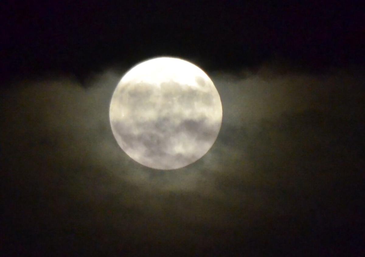 harvest moon-TUL0030388461