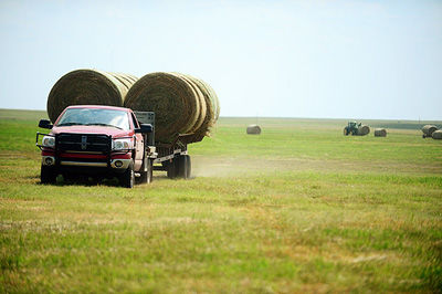 Better Built Double Wide Hay Trailer
