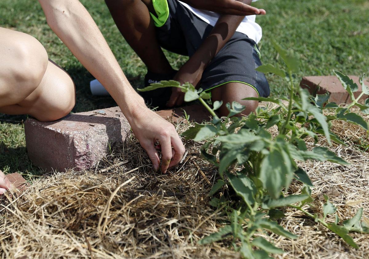 Tulsa Woman Shares Her Love Of Gardening Through Volunteering