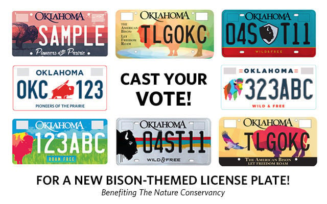 license plate designs