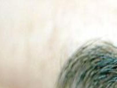 6 Tips For Maintaining Beautiful Brows Entertainment