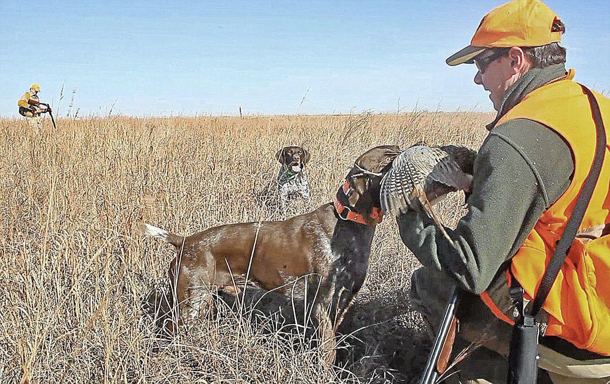 Oklahoma to launch new public hunting/fishing lands program Sports