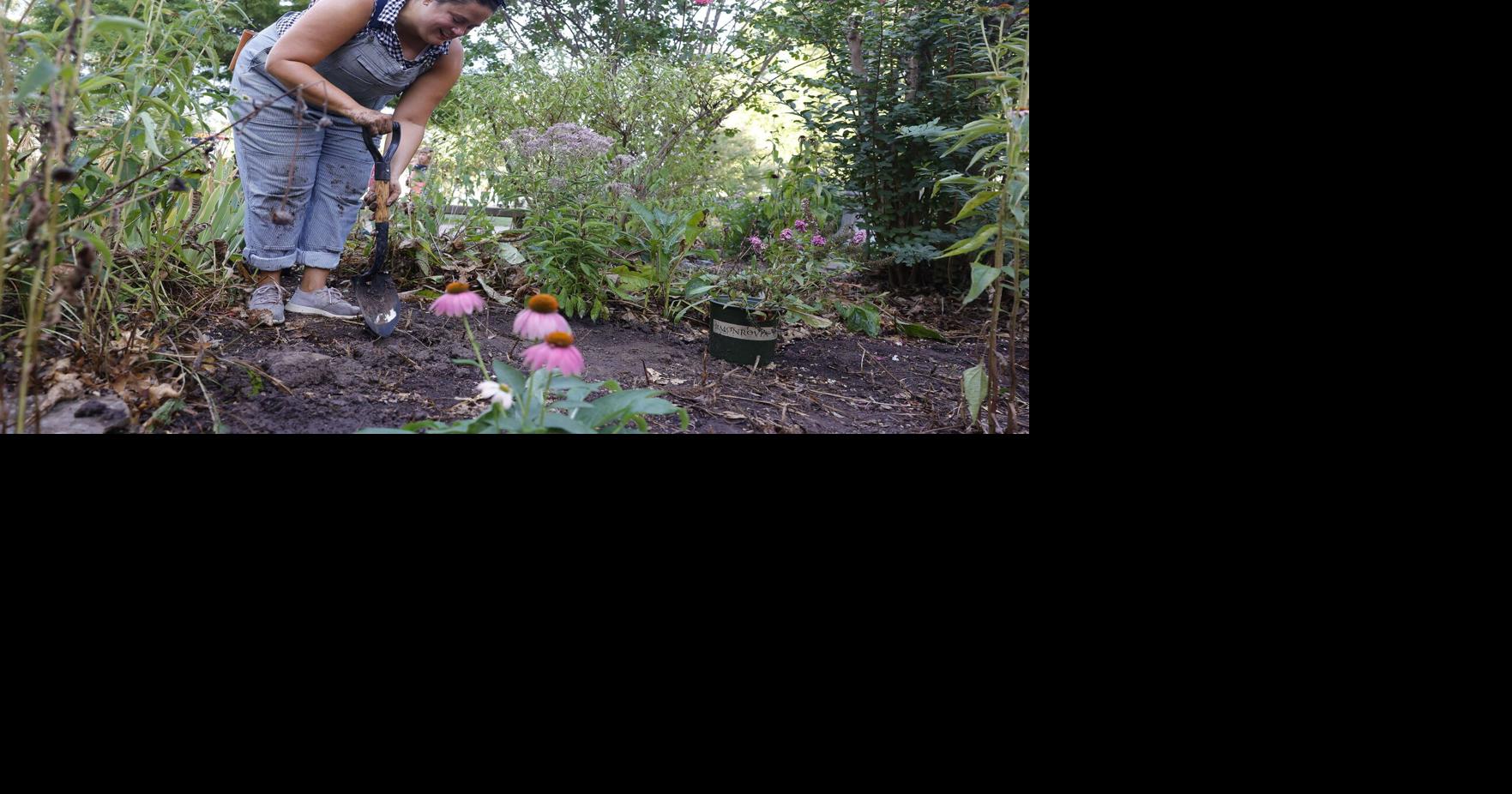 Room to grow Local parents look to beautify the Mayo Demonstration School