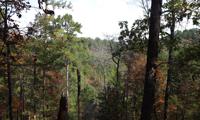 Beavers Bend State Park