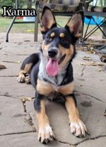 Karma