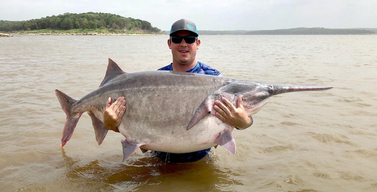 Oklahoma monster paddlefish