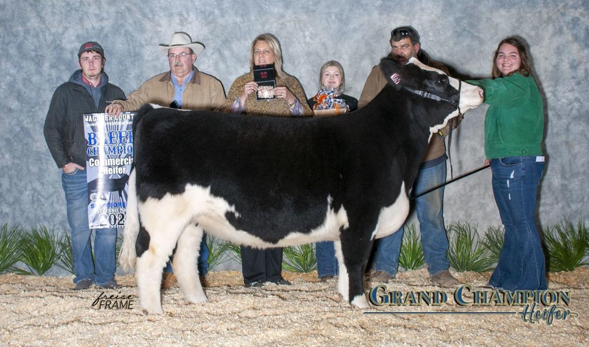 Wagoner County Junior Livestock Show (copy)