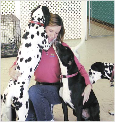 hugs and kisses doggie daycare