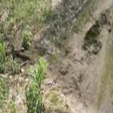 Oklahoma Baptists Cancel Falls Creek Youth Camp Season Local News Tulsaworld Com