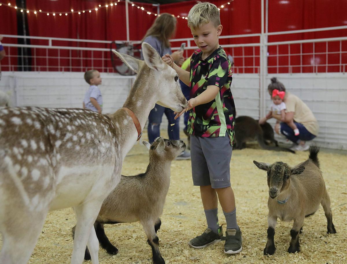 Tulsa State Fair: Great American Petting Zoo touches lives ...