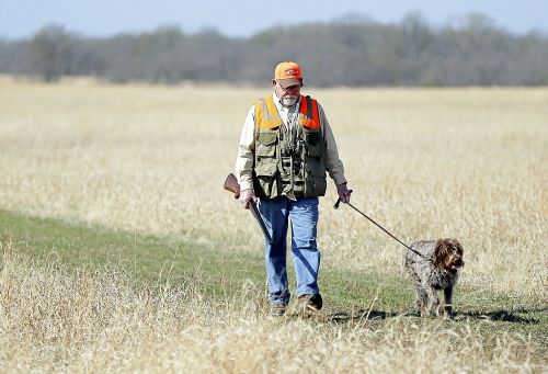 gun dog association