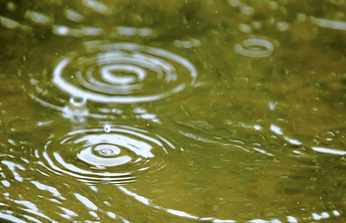 Why Does Rain Smell? Meteorologist Kirsten Lang Explains