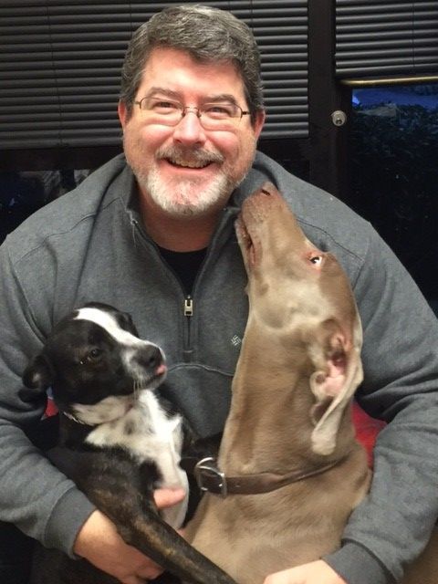 kennel cough treatment walmart