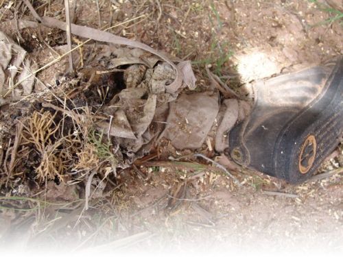 serial killer victims pictures