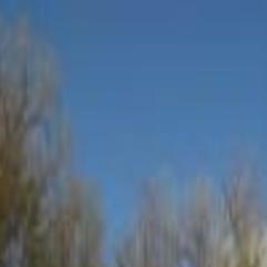 Kelly Bostian Paddlefish Mortality In Catch And Release Program