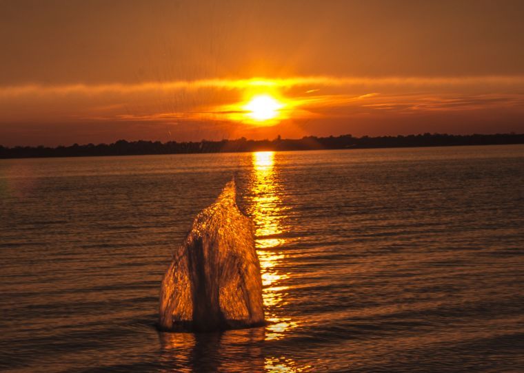 Red Cross offers water safety tips