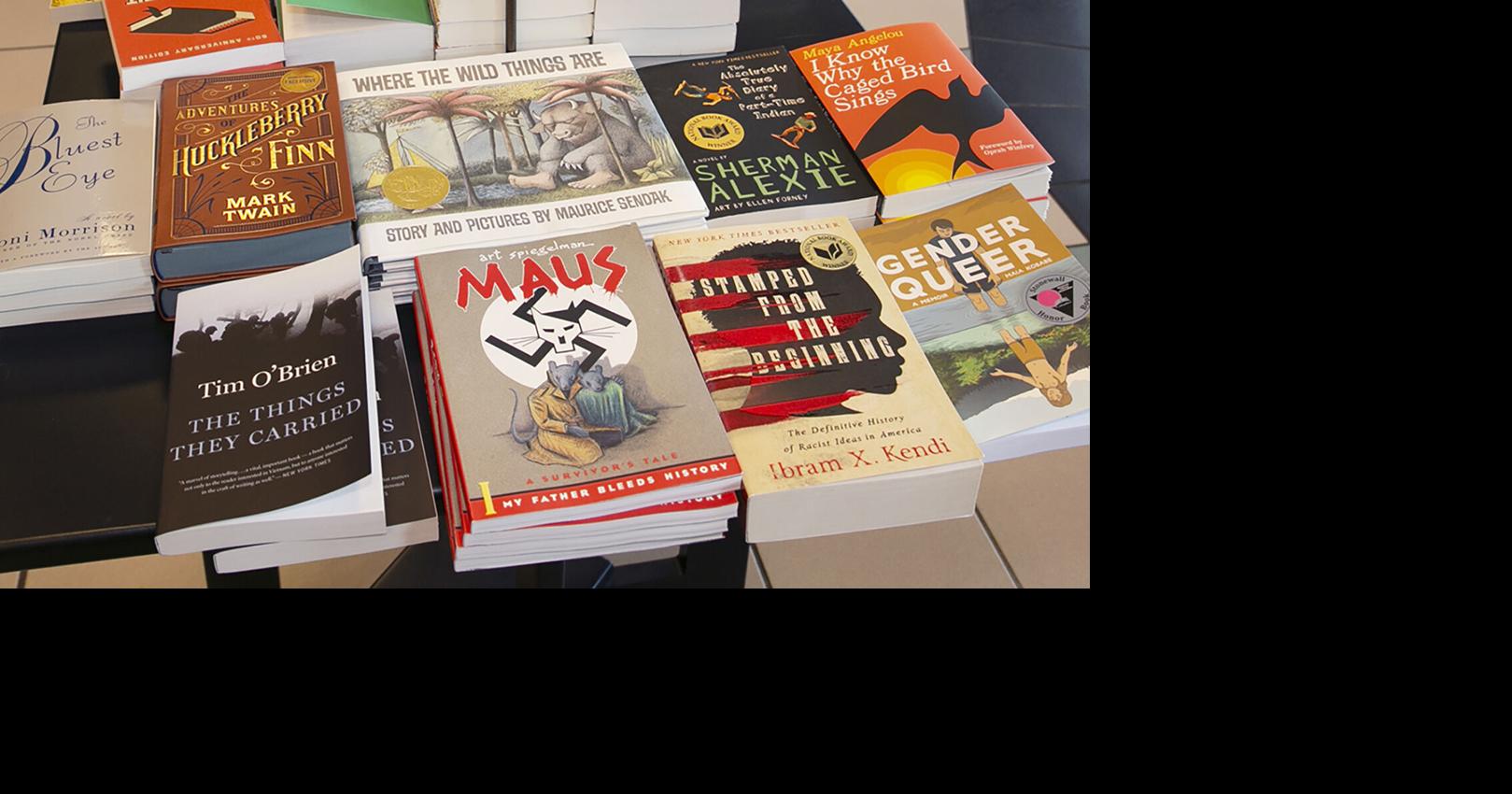 Lawmaker makes another attempt to give state control of school districts’ libraries