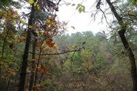 Beavers Bend State Park