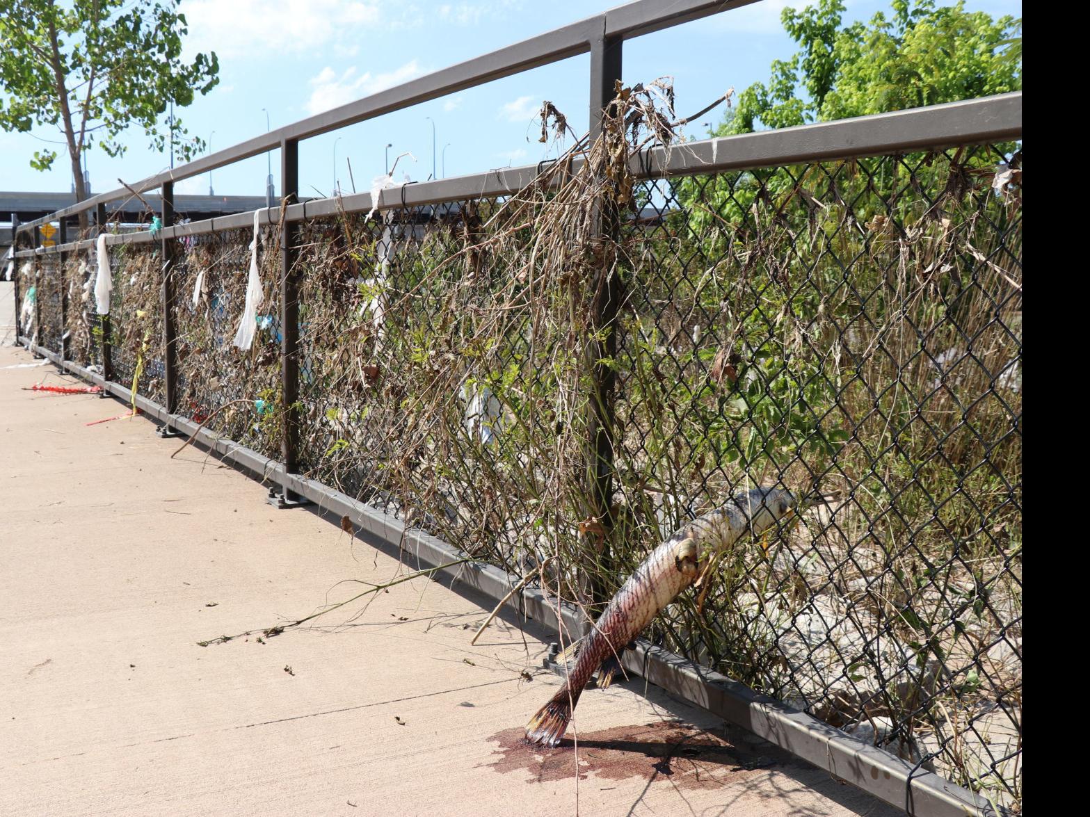 Floods Stink Natural Stench Comes As Water Recedes But Some Smells Are Worth A Closer Look Local News Tulsaworld Com