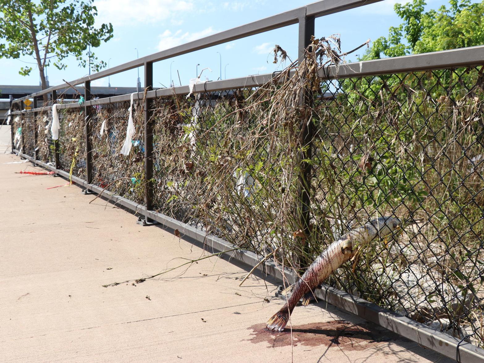 Floods Stink Natural Stench Comes As Water Recedes But Some Smells Are Worth A Closer Look Local News Tulsaworld Com Floods Stink Natural Stench Comes As Water Recedes But Some Smells Are Worth A Closer Look Local News Tulsaworld Com