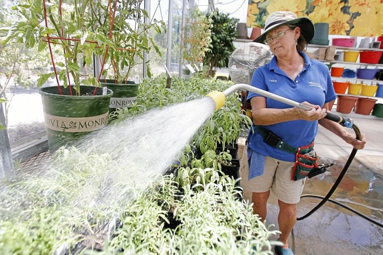 Best In The World Southwood Landscape And Garden Center Archive Southwood Landscape And Garden Center