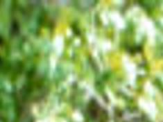 Lonesome Dove A Landmark Tv Miniseries News Tulsaworld Com Lonesome dove is a 1985 western novel by american writer larry mcmurtry. lonesome dove a landmark tv miniseries