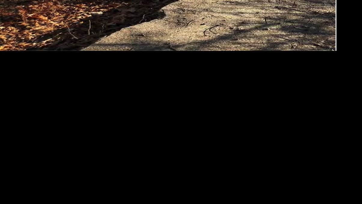 Communities rally to repair dams as year of flooding worsens or creates problems - Tulsa World