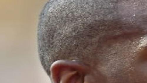 Bobby Reid Signs With Tulsa Talons Archive Tulsaworld Com