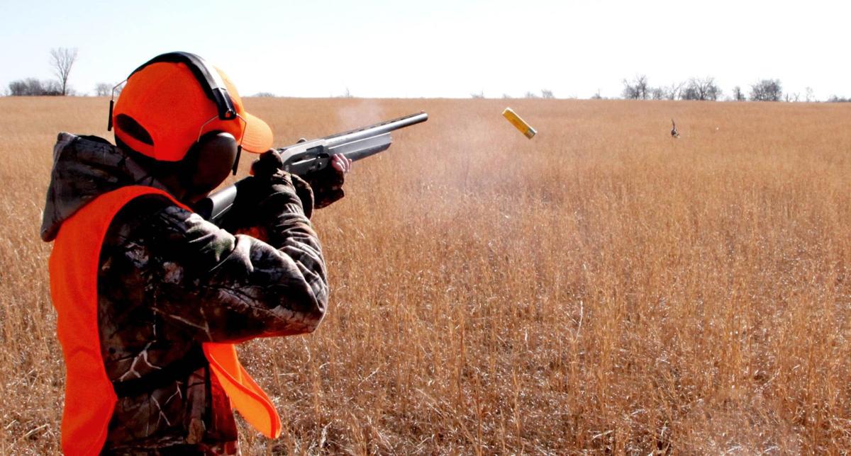 Kelly Bostian Youth quail hunt kindles newhunter excitement