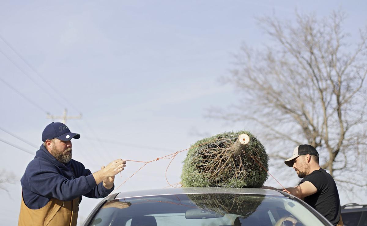 Owasso Christmas Tree Farm Sees Minimal Impact From National Tree Shortage Business News Tulsaworld Com