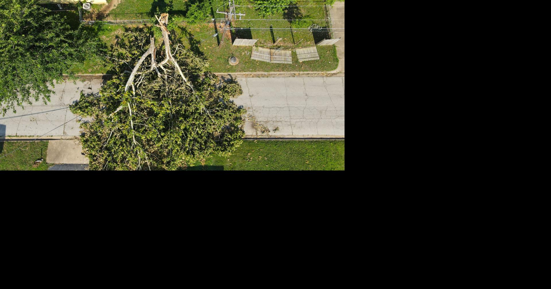 Ginnie Graham: It's OK to grieve for the Tulsa trees that didn't survive