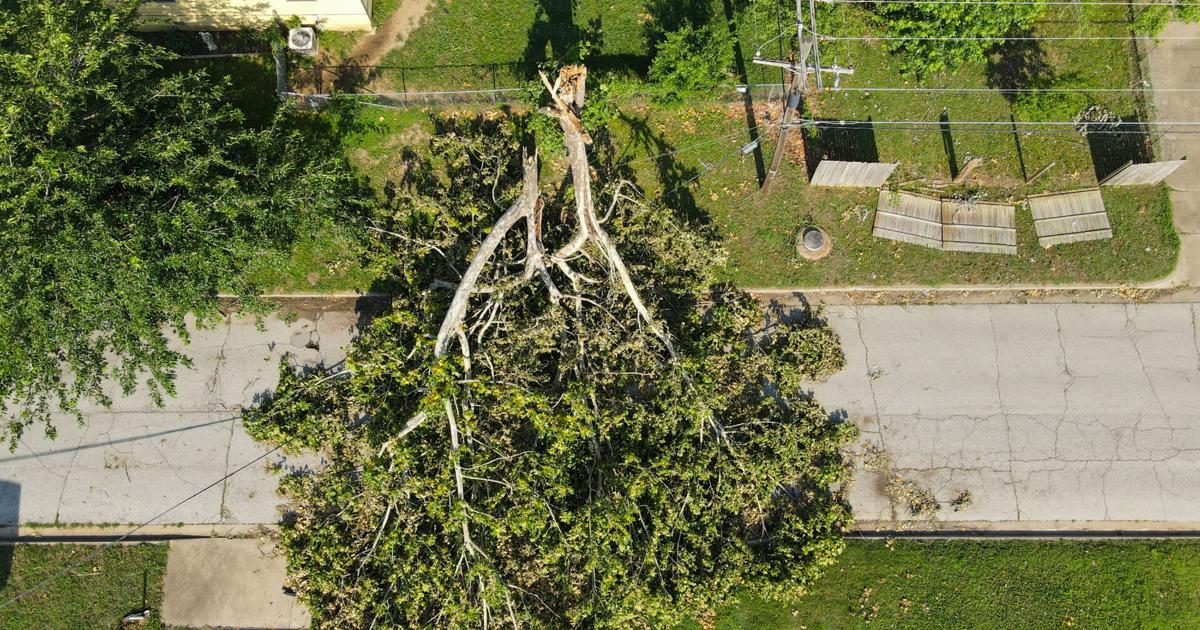 Ginnie Graham: It's OK to grieve for the Tulsa trees that didn't survive
