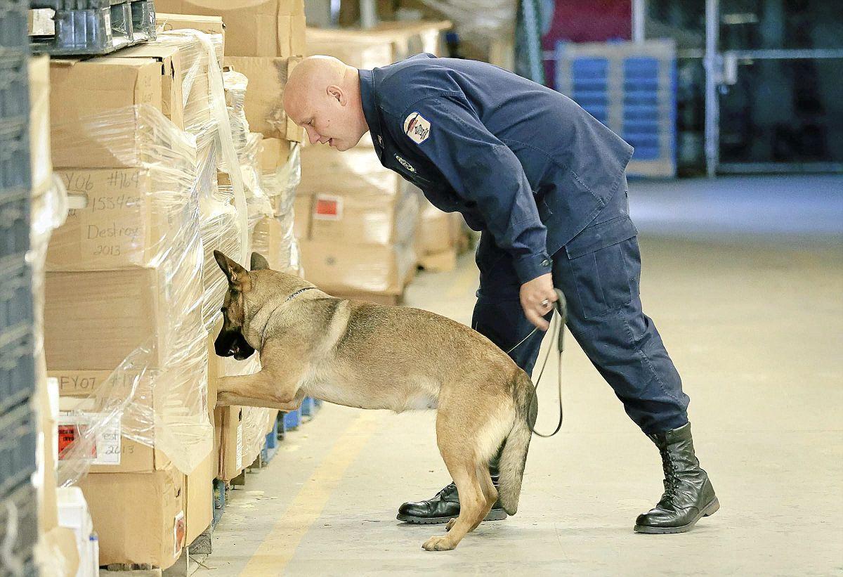 Revamped Department of Corrections K9 search program wants to target
