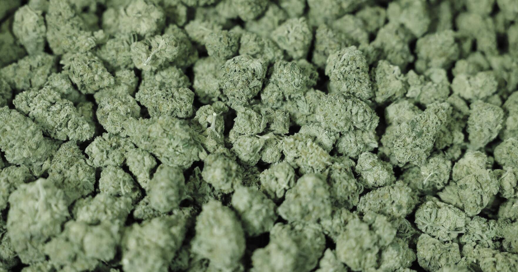 Oklahoma Medical Marijuana Authority issues recall alert - Vimarsana News