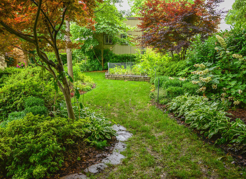 Master Gardener Find tips for growing grass in shady areas