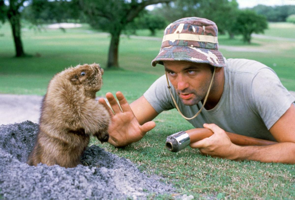 Caddyshack revisited Cindy shares memories of cast members in film's 40th anniversary