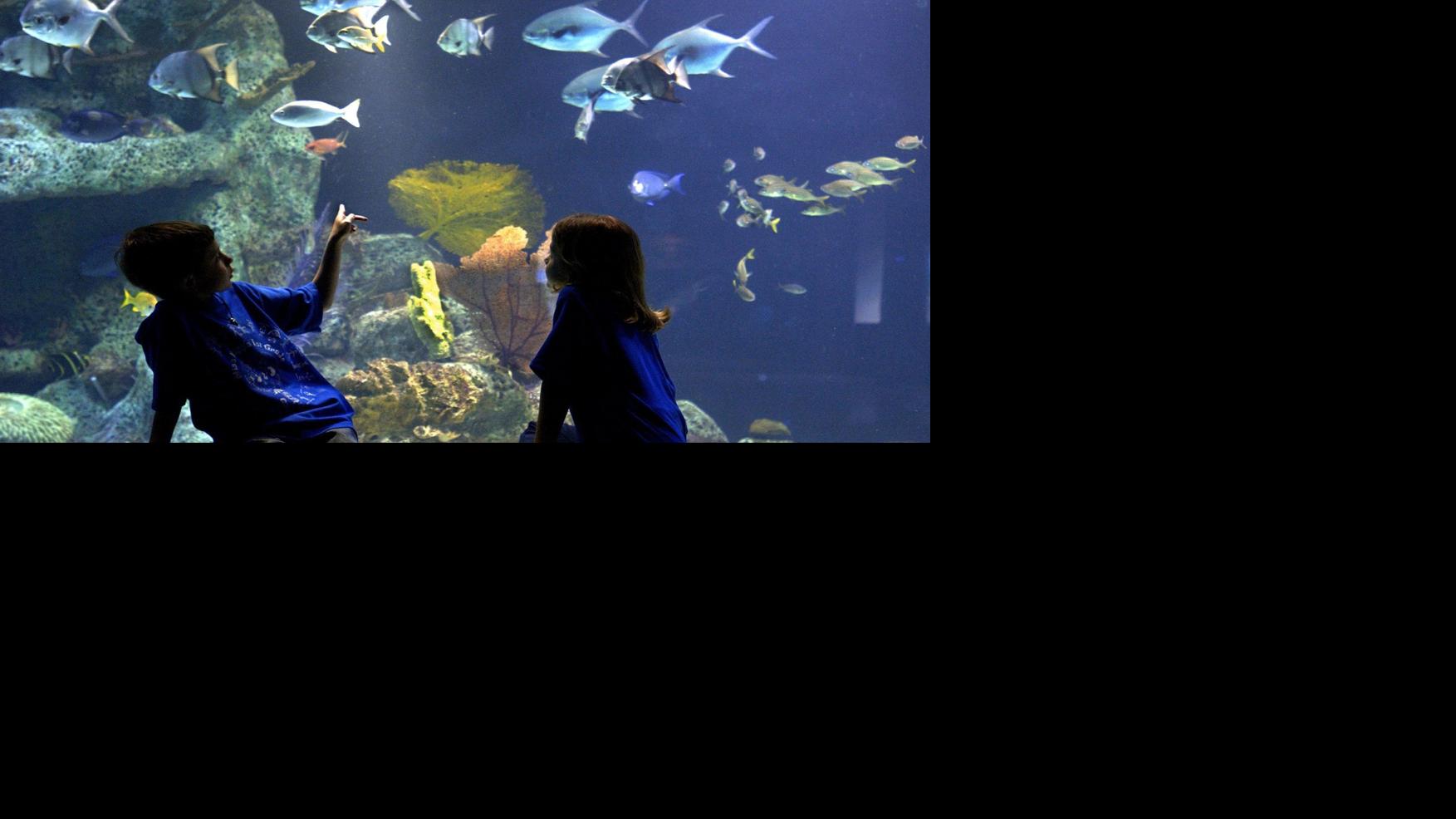 Photo Gallery The Oklahoma Aquarium through the years Gallery