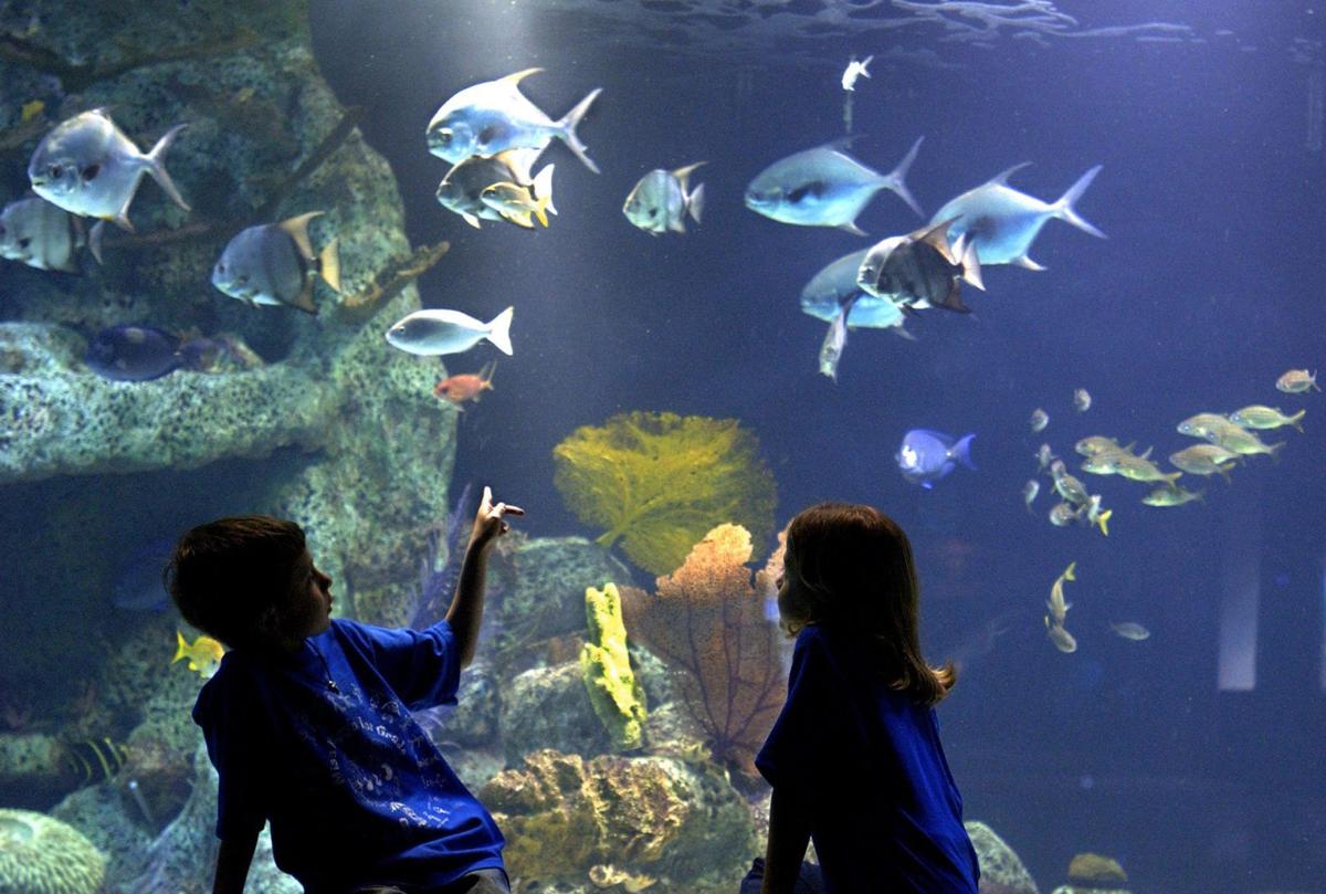 Oklahoma Aquarium of Oklahoma City