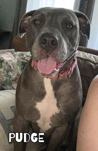 Pudge