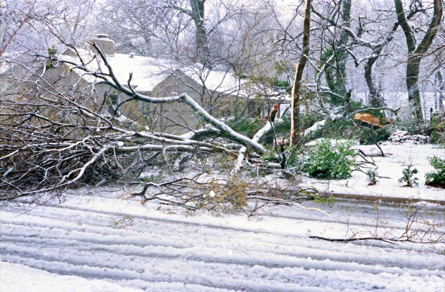 Throwback Tulsa Record snowfall slams northeast Oklahoma in March 1994