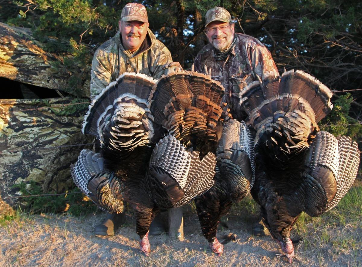 Kelly Bostian Tough Season Ahead Here Are 10 Tips For Spring Turkey Season Scouting Sports News Tulsaworld Com