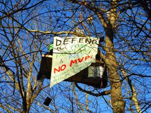 Pipeline protesters are sitting in trees along its route in West Virginia in an effort to stop construction