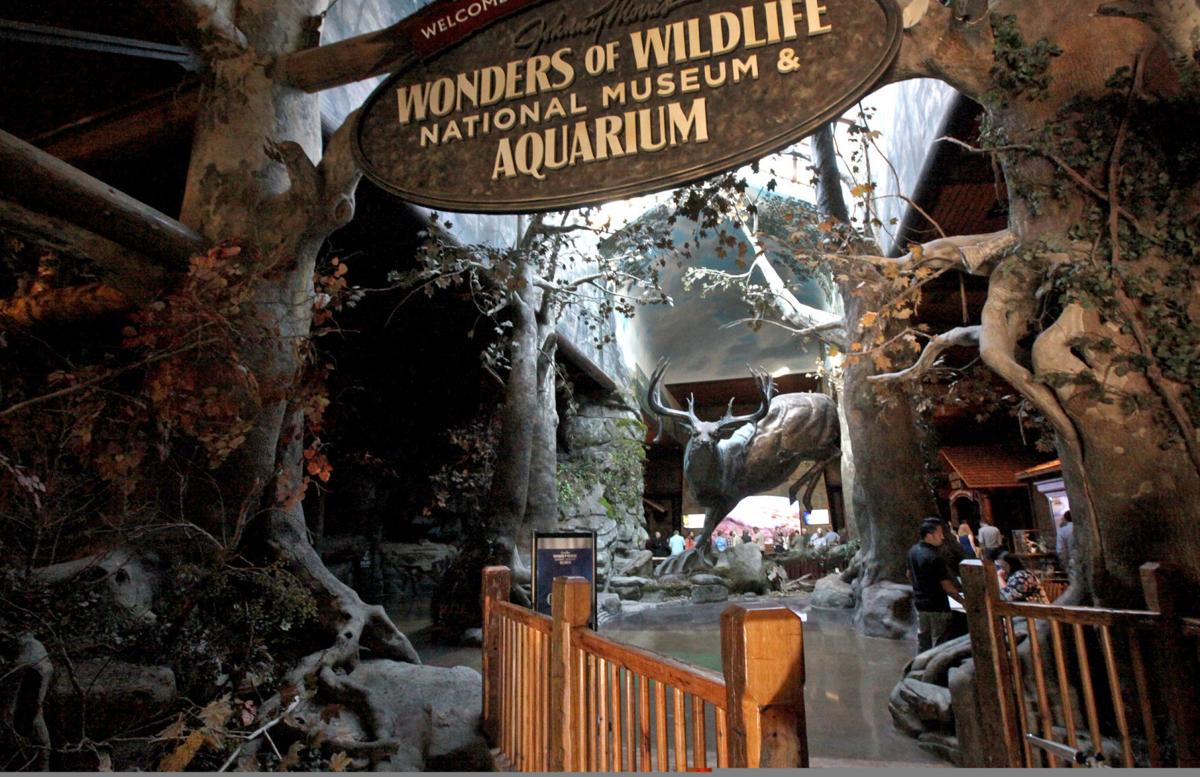 Kelly Bostian Wonders of Wildlife Museum and Aquarium designed to