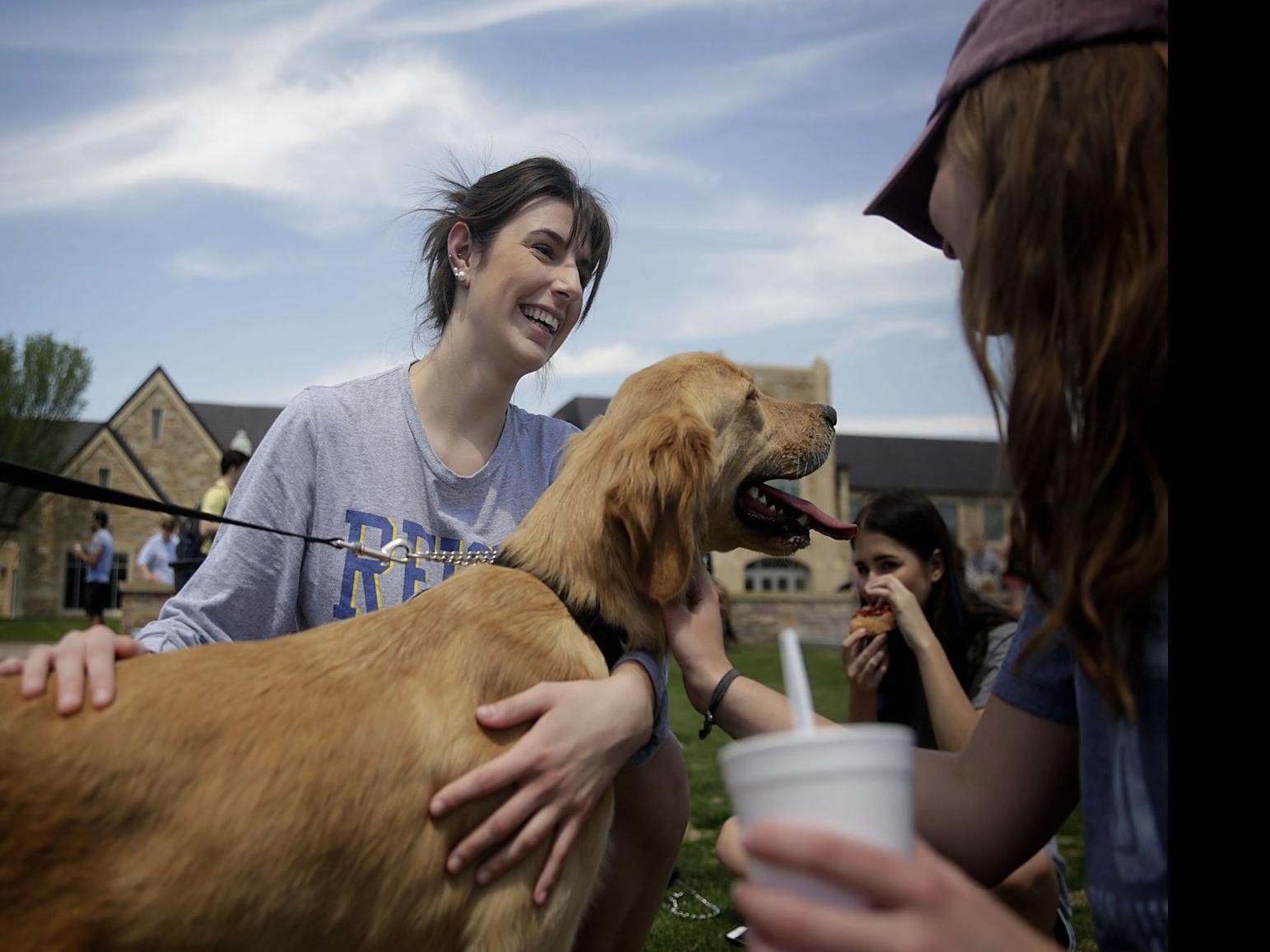Weather And Dogs Tulsaworld Com