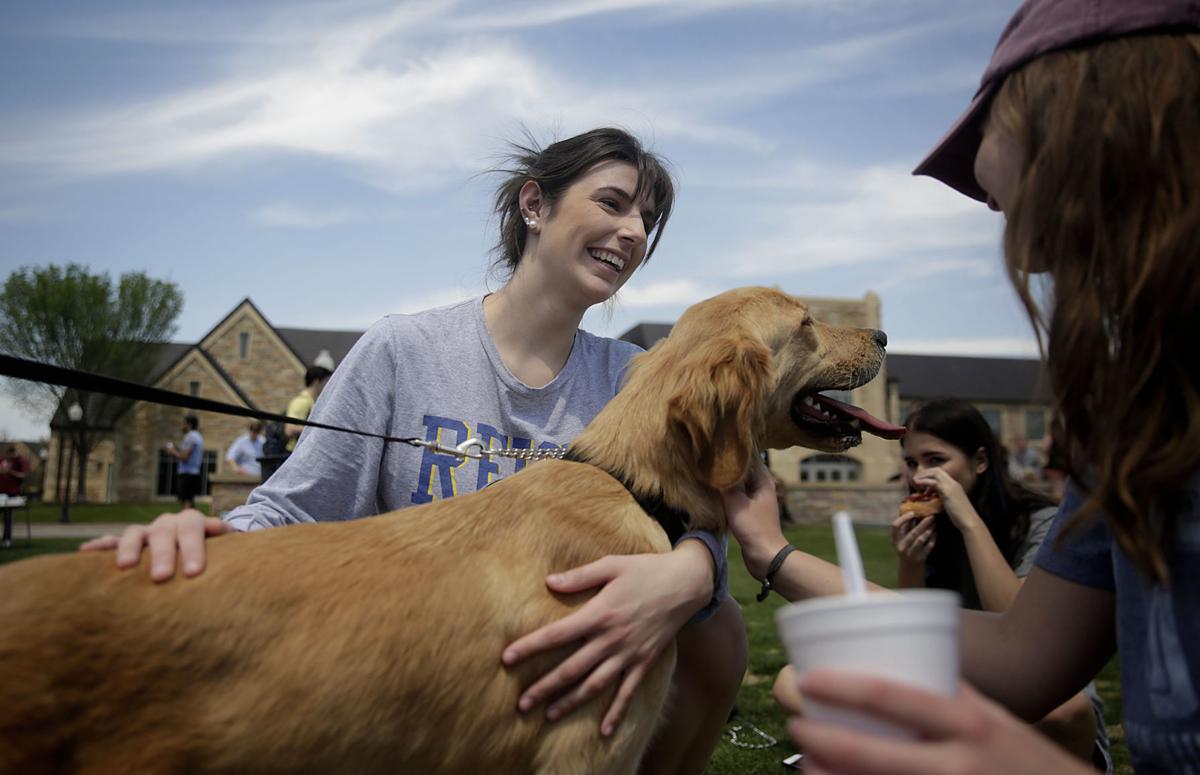 Weather And Dogs Tulsaworld Com