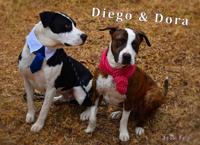 Diego and Dora